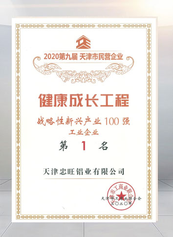 2020第九屆天津市民營企業「戰略性新興産業100強第1名」